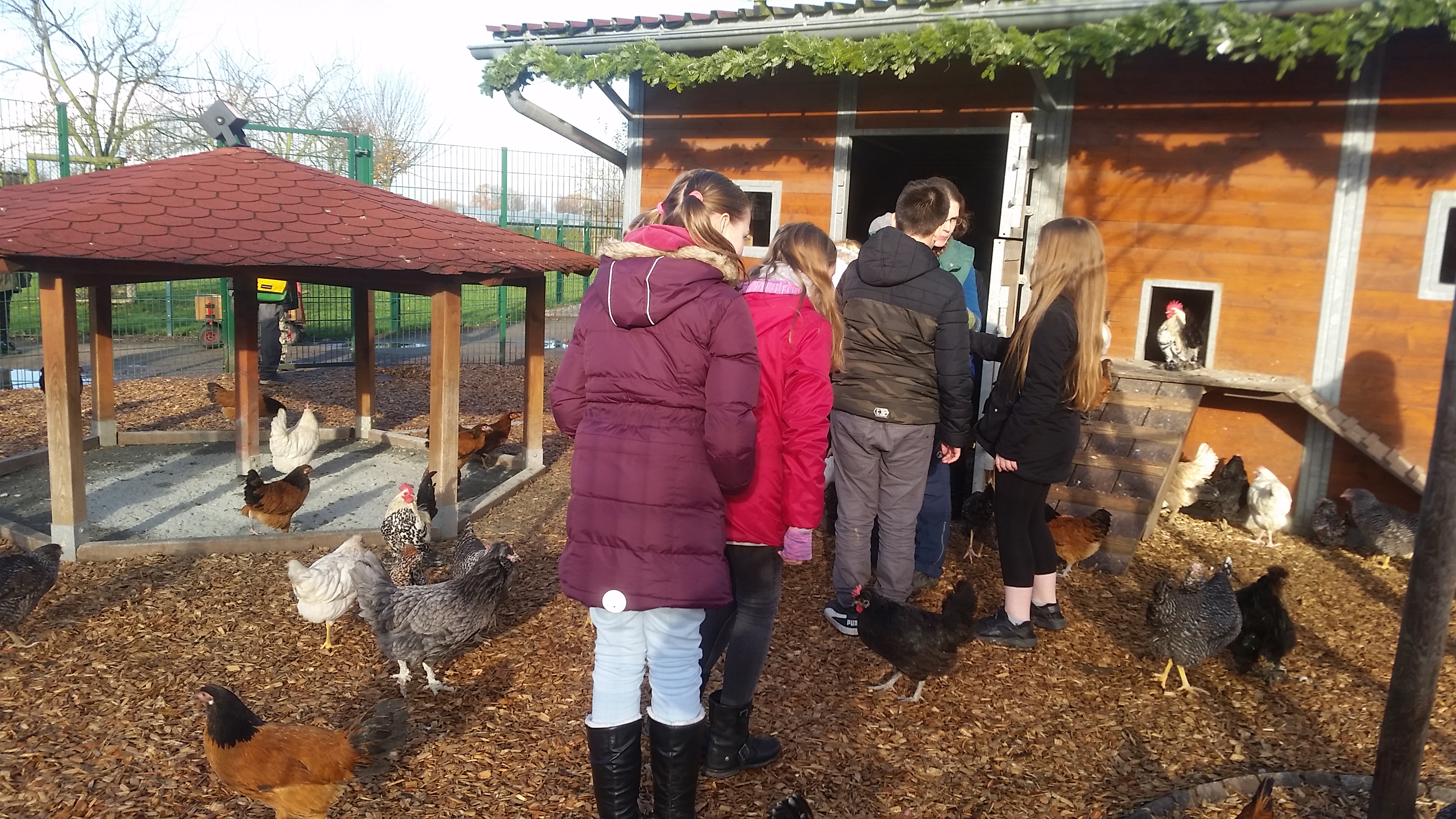 Impressionen vom Ausflug zum Gertrudenhof – 5b