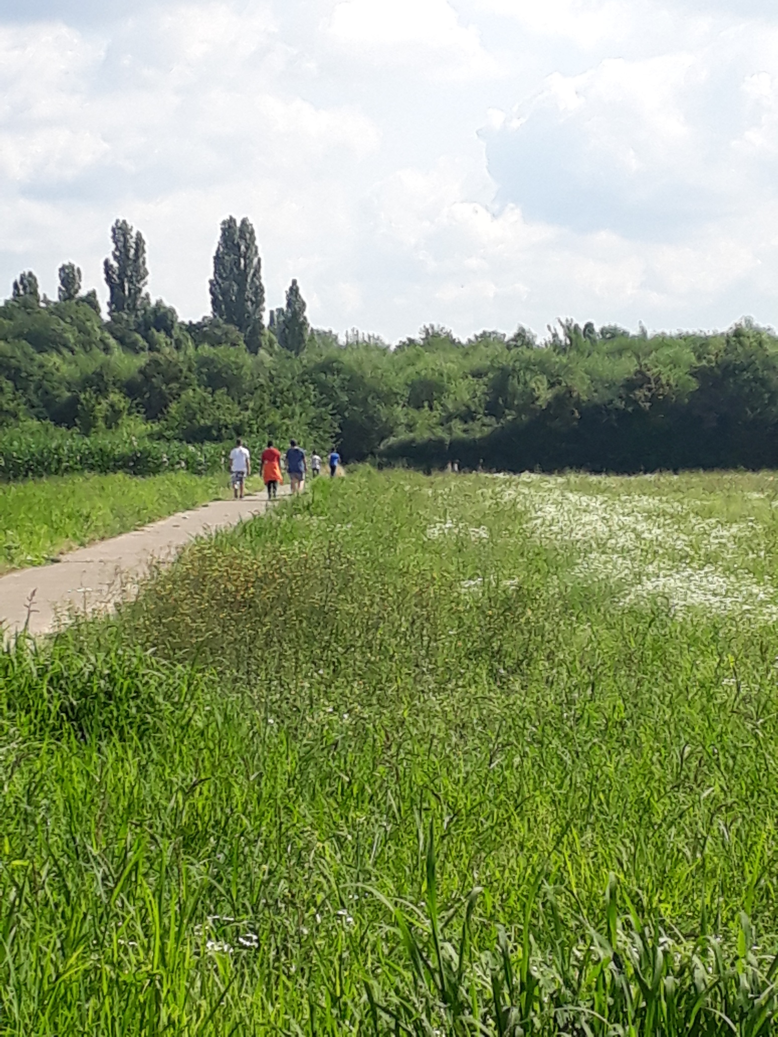 Unser Sponsorenlauf :-)